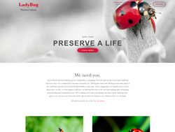 LadyBug | Live Preview